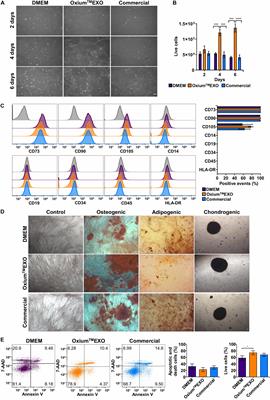 A Chemically Defined, Xeno- and Blood-Free Culture Medium Sustains Increased Production of Small Extracellular Vesicles From Mesenchymal Stem Cells